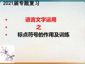 《语言文字运用之标点符号的作用及训练》示范课件2.ppt