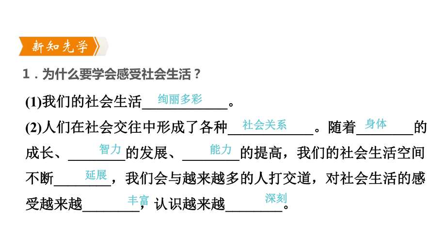 第一课第1课时我与社会课件.pptx_第2页