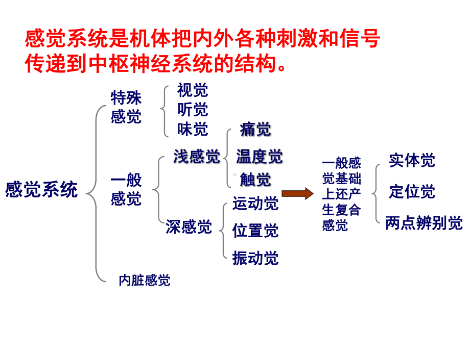 神经功能感检查法课件精选.ppt_第2页