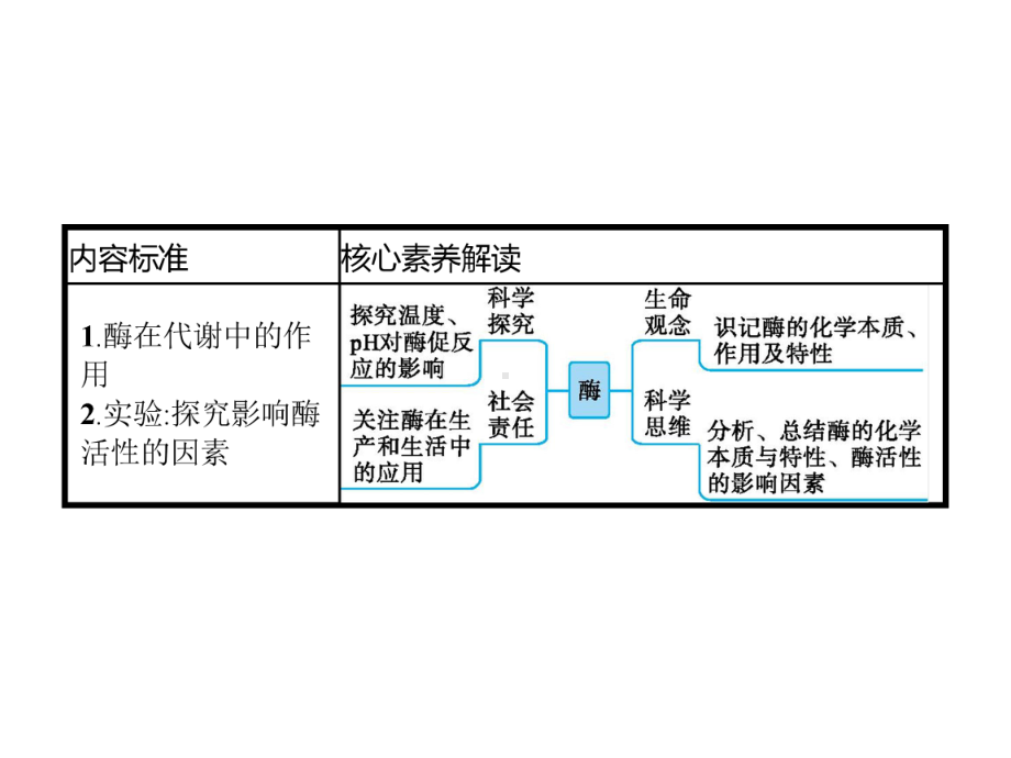 （生物.新高考总复习）第8讲-降低化学反应活化能的酶.pptx_第2页