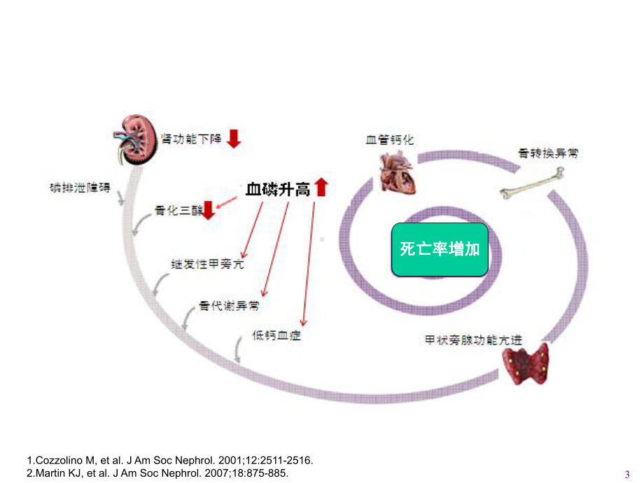 碳酸镧产品介绍课件.ppt_第3页