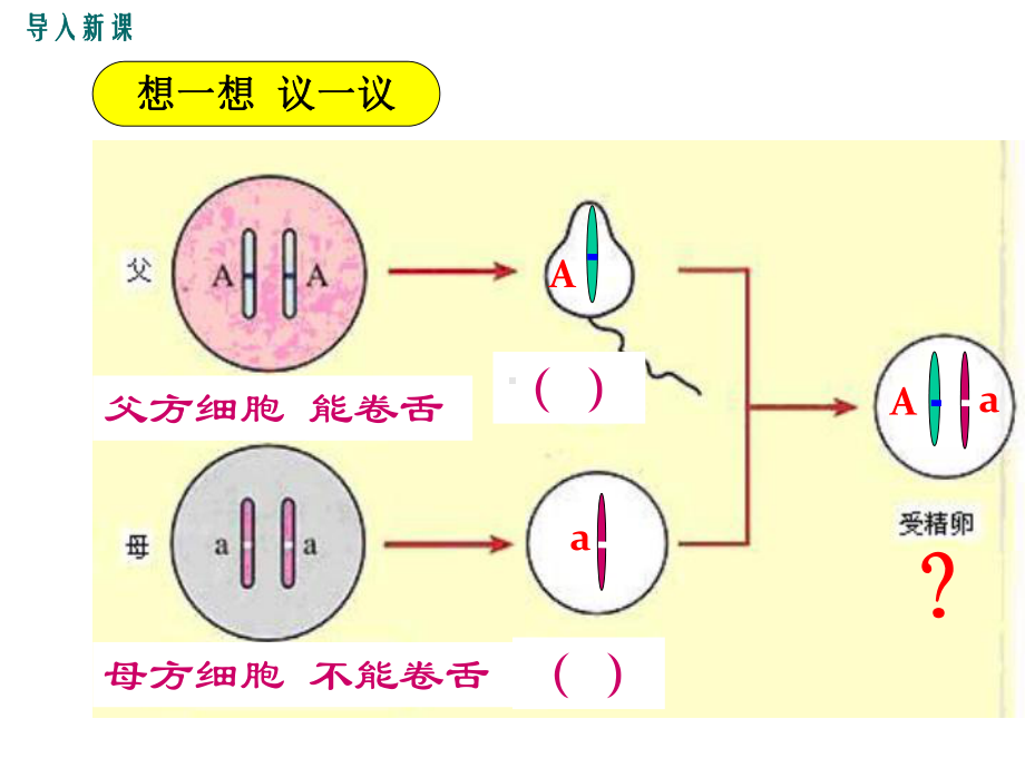 人教版八年级生物下册课件基因的显性和隐性-2.ppt_第3页