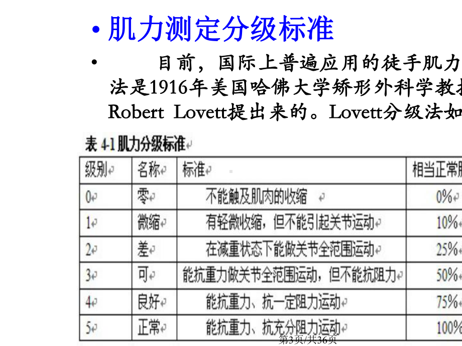 下肢肌力检查.pptx_第3页