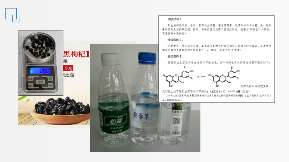 《化学平衡的移动》课件2.ppt_第2页