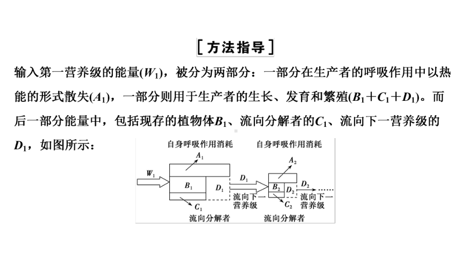 新课标高考生物解题技巧巧用拼图法解决能量流动计算难题(15张)课件.pptx_第2页