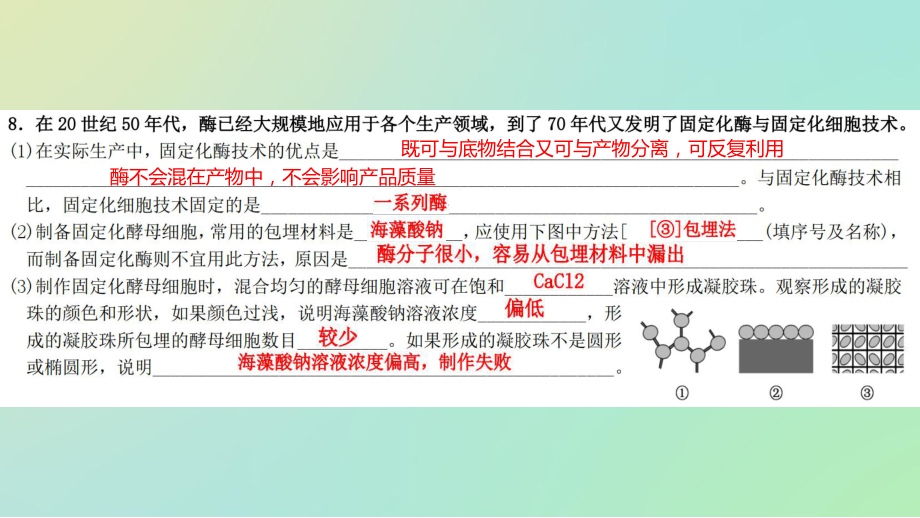 血红蛋白的提取和分离习题讲解课件.pptx_第2页