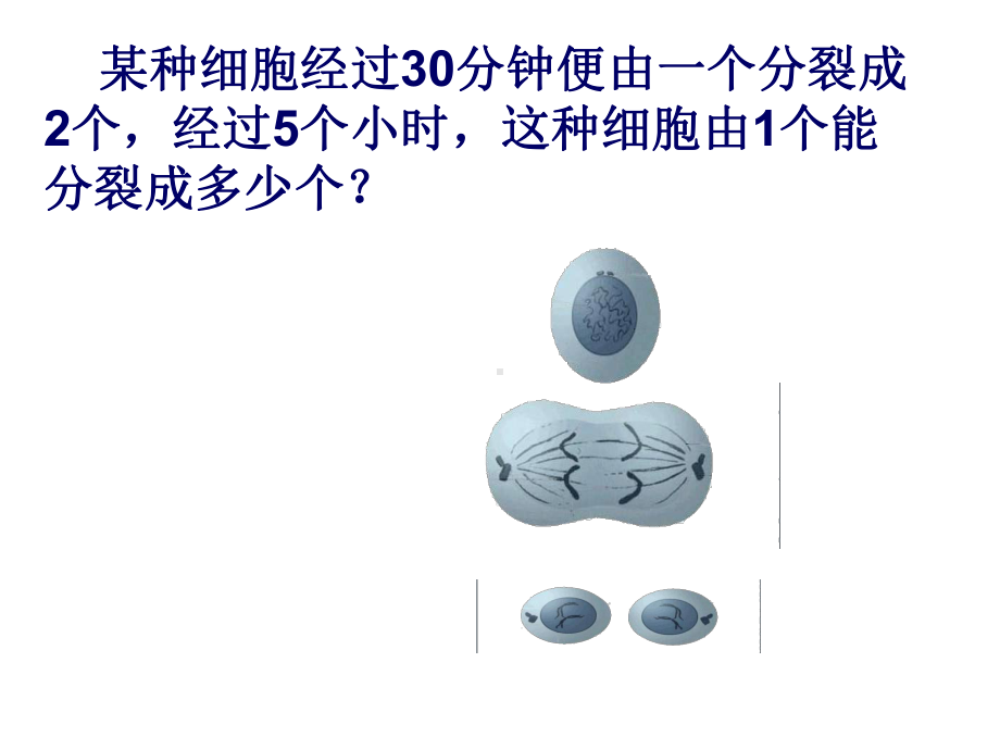 有理数的乘方课件.ppt_第2页