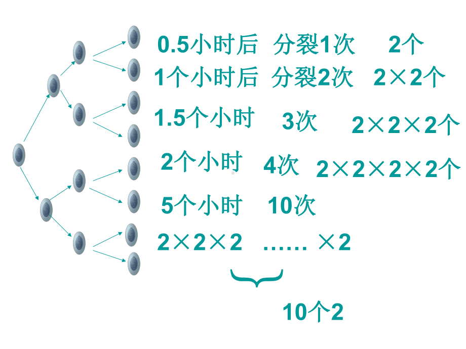 有理数的乘方课件.ppt_第3页