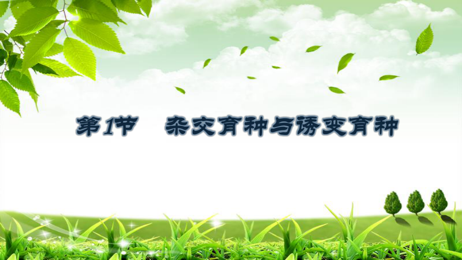 《杂交育种和诱变育种》名师课件2.ppt_第1页