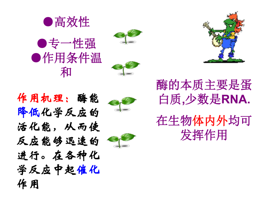 高中生物果胶酶在果汁生产中的作用课件.ppt_第3页