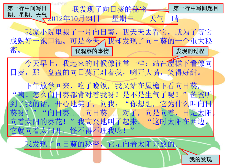 观察日记课件.ppt_第3页