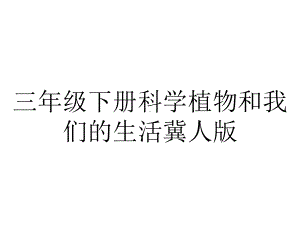 三年级下册科学植物和我们的生活冀人版.pptx