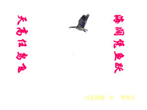 材料作文写作指导课件.ppt