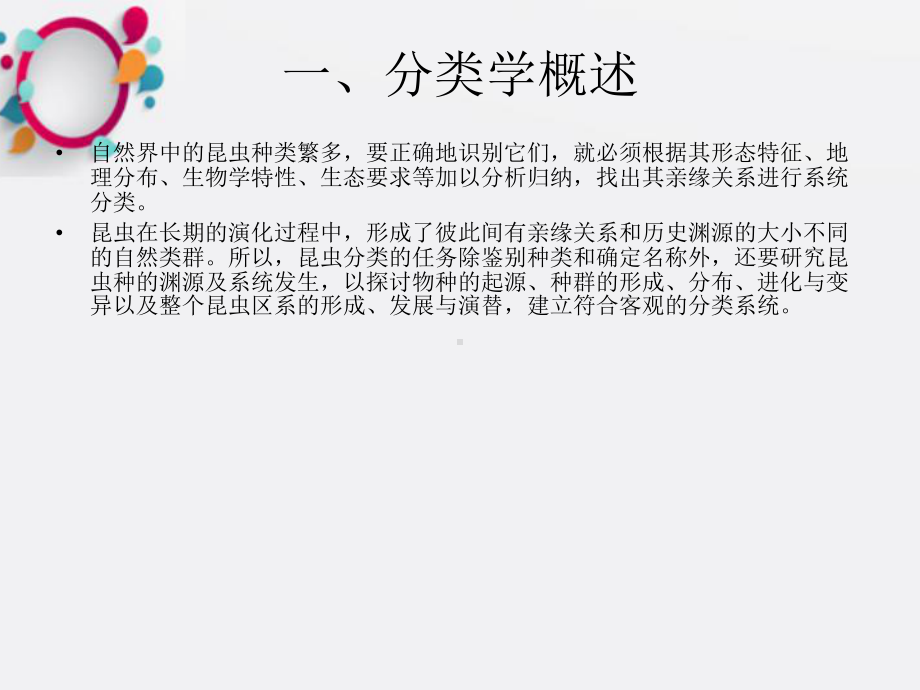 《昆虫分目》课件2.ppt_第3页