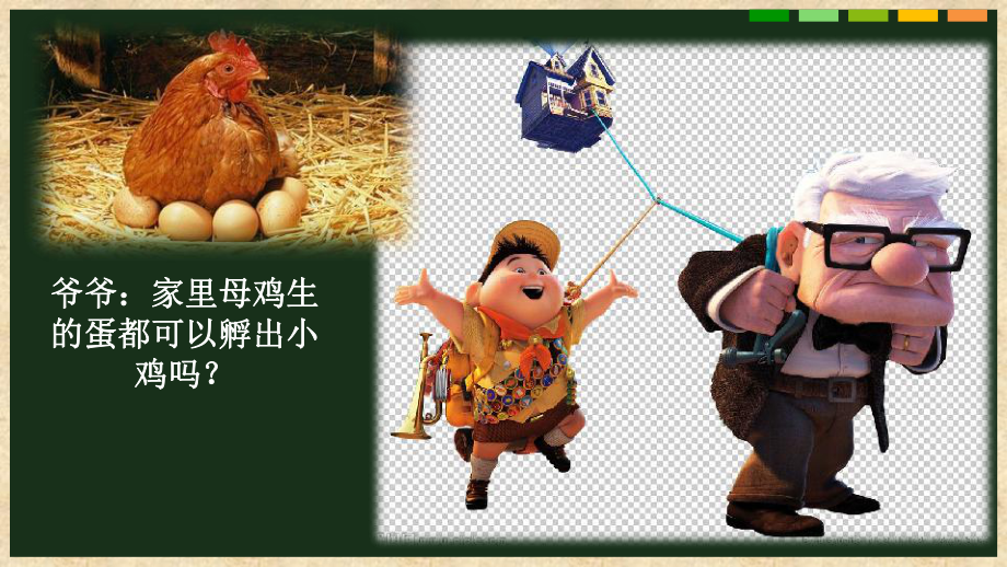 《母鸡生蛋了》优秀课件粤教版小学1.ppt_第1页