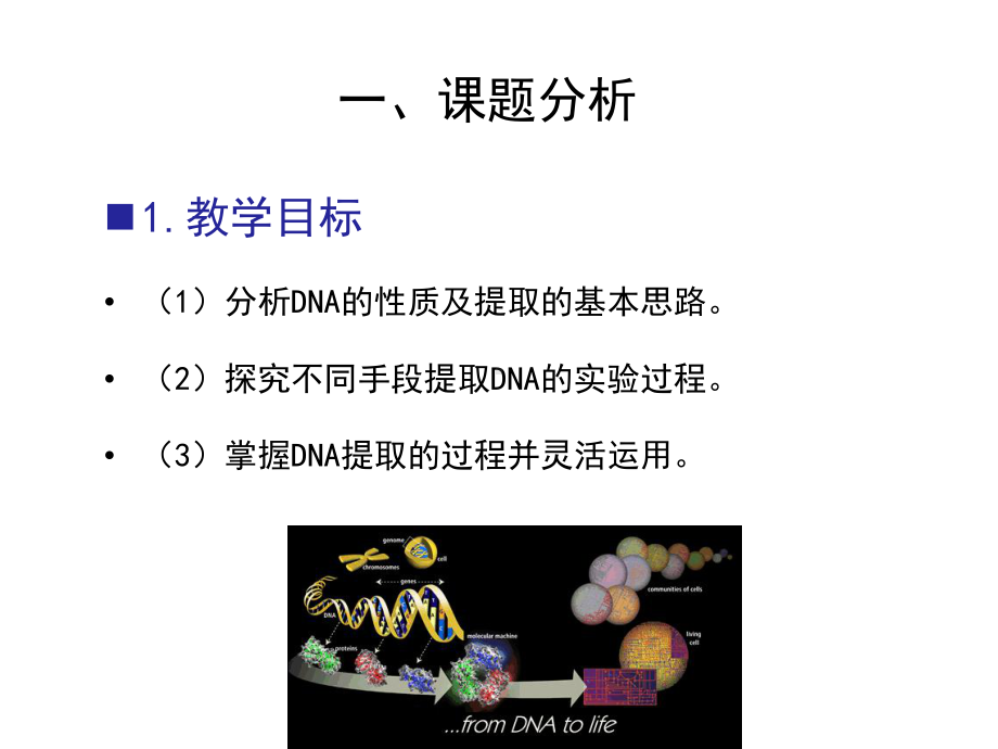 DNA粗提取与鉴定实验-课件.ppt_第3页