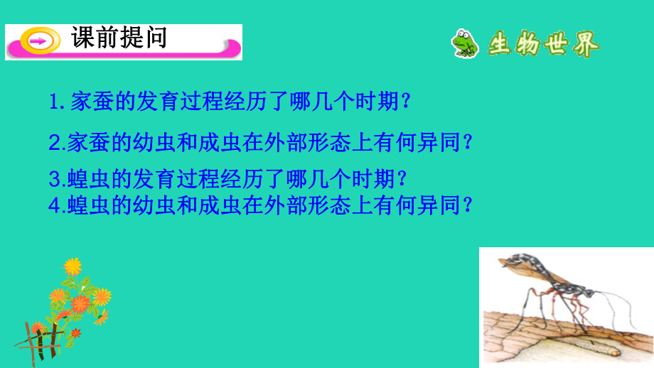 新人教版八年级生物下册第三节--两栖动物的生殖和发育课件.ppt_第1页