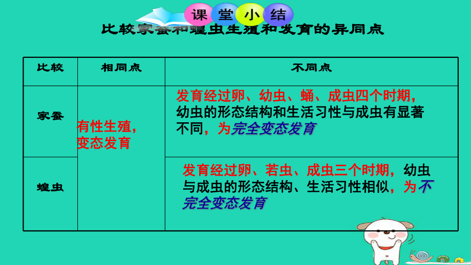 新人教版八年级生物下册第三节--两栖动物的生殖和发育课件.ppt_第3页