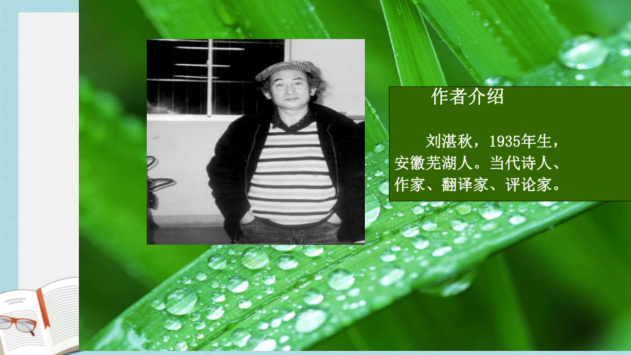 新人教版七年级语文上册雨的四季优质课件.ppt_第3页