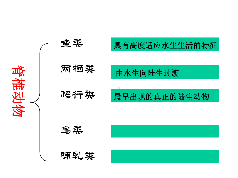 脊椎动物的主要类群(鸟类、哺乳类)课件.ppt_第2页