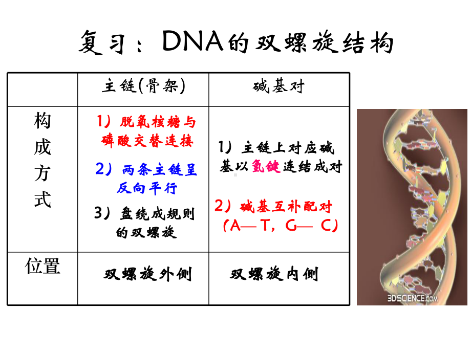 人教版高一生物必修二教学课件33DNA的复制(共22张).ppt_第2页