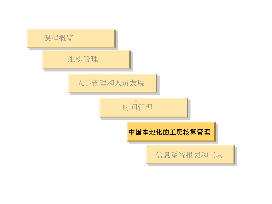 最权威经典的SAPHR入门培训教程HRChinaPayroll课件.ppt_第2页