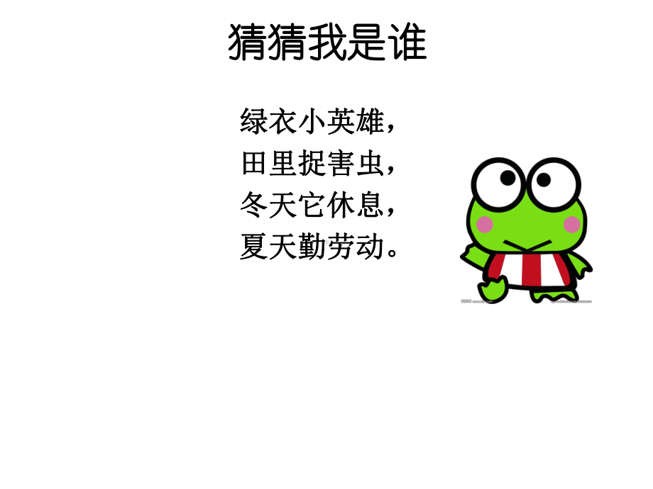 《小青蛙》教学课件.ppt_第2页