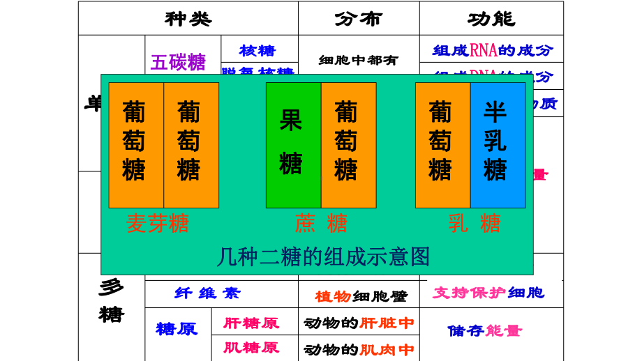 新高考生物二轮复习第二章第4节细胞中的糖类和脂质课件.pptx_第3页