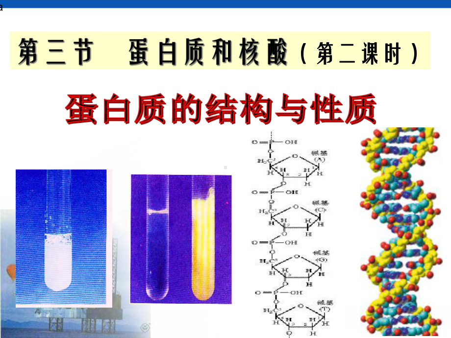 蛋白质的结构与性质课件.ppt_第1页