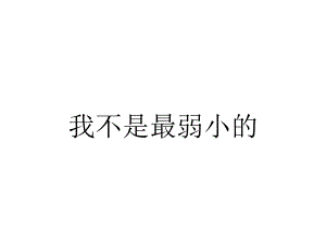 我不是最弱小的.ppt