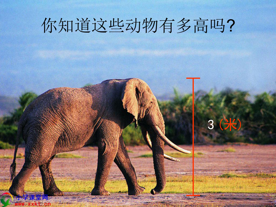 苏教版二年级下册数学《认识分米和毫米》课件.ppt_第3页