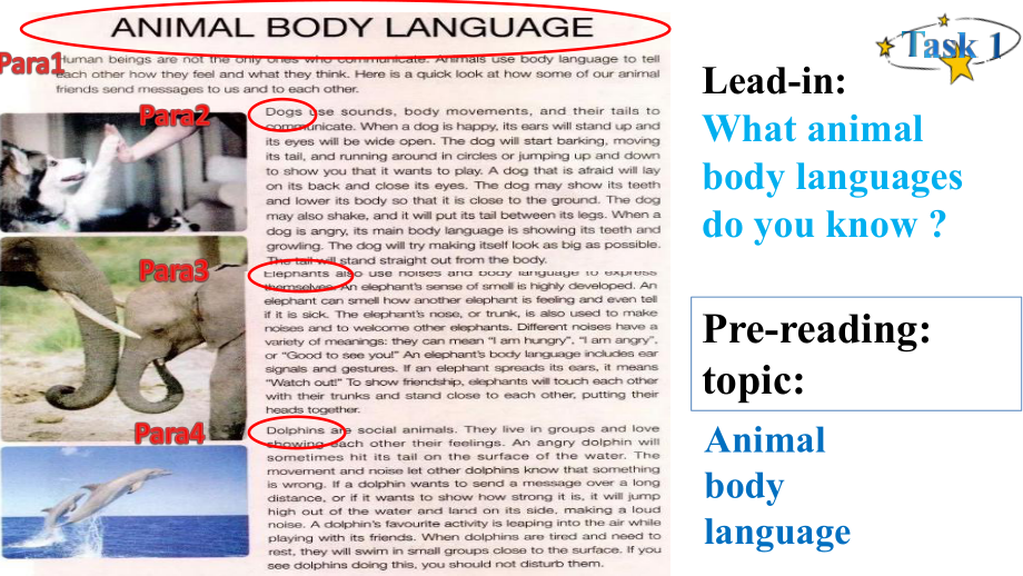 Unit 4 Body Language Reading for Writing(ppt课件) (3)-2022新人教版（2019）《高中英语》选择性必修第一册.pptx_第2页