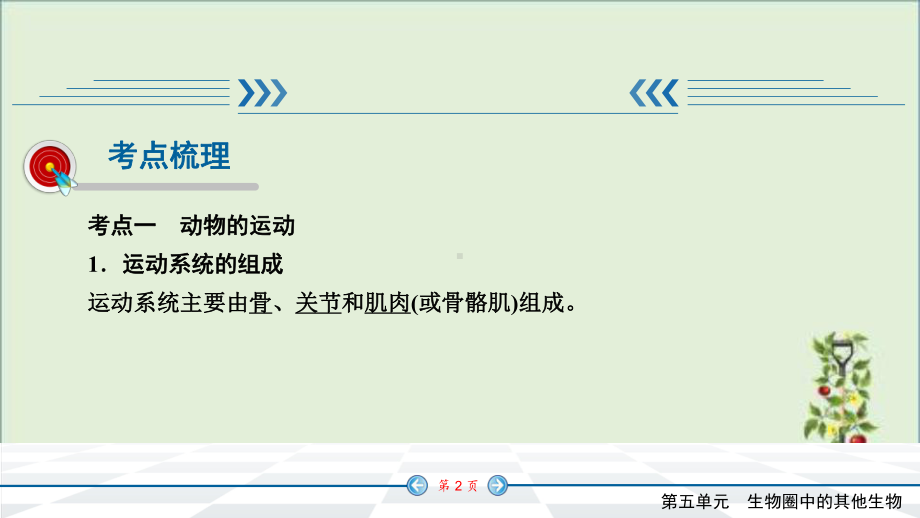 人教版七年级上册生物知识点精讲课件动物的运动和行为(同名1522).pptx_第2页