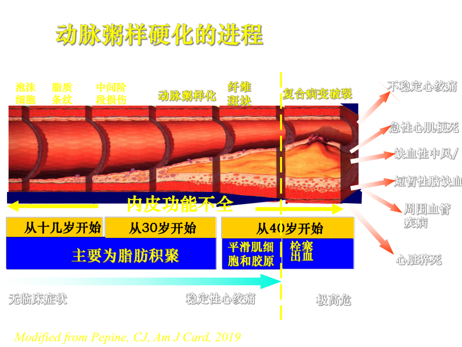 步长脑心通调脂抗炎症保护内皮功能和抗动脉粥样硬化的系列研究精选课件.ppt_第2页