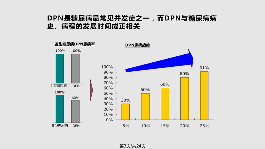 木丹颗粒课件.pptx_第3页