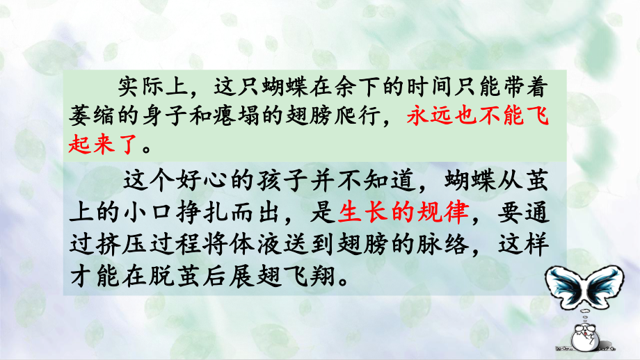 小毛虫(课堂教学课件).ppt_第2页