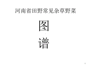 河南省田野常见杂草野菜图谱70019课件.ppt