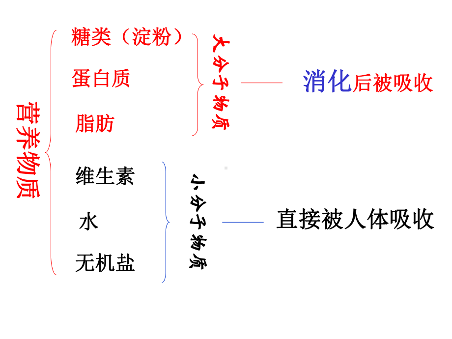 （浙教版）食物的消化与吸收教研课件-1.ppt_第3页