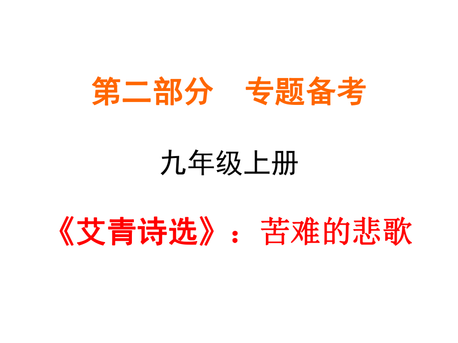 部编人教版语文中考名著阅读《艾青诗选》专题提升精讲精练课件.ppt_第2页