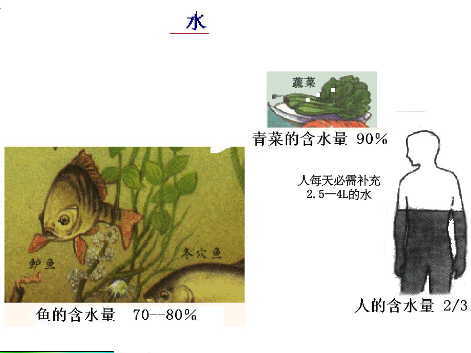 九年级化学全册《23自然界中的水》沪教版.ppt_第3页