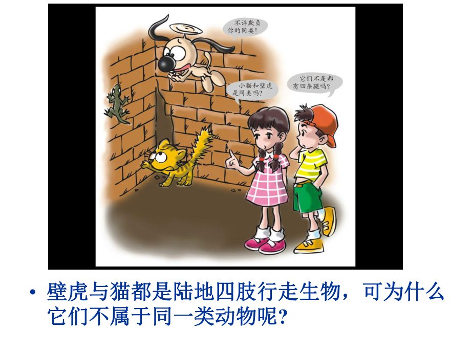 《壁虎与小猫》课件.ppt_第2页