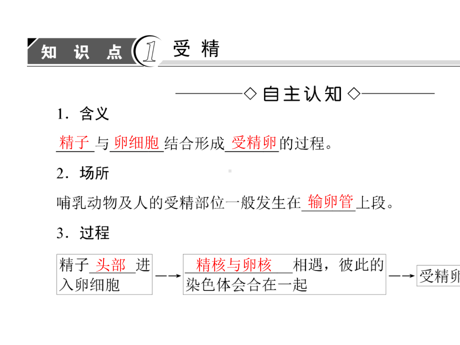 中图版高中生物选修三131《动物胚胎发育的基本过程》课件.ppt_第3页