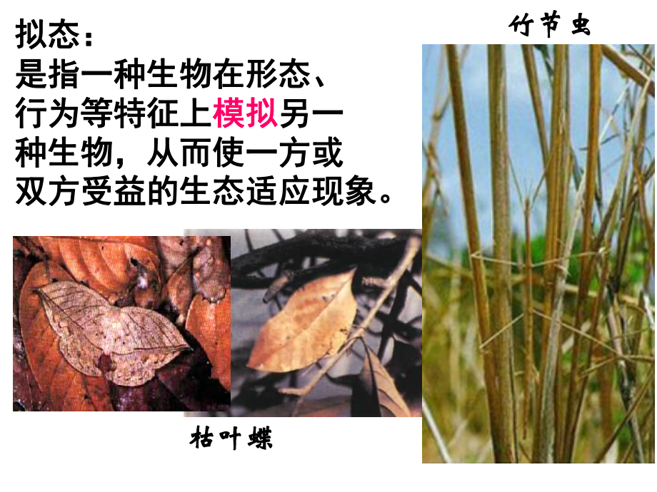 高中生物必修二第七章第一节课件.ppt_第3页