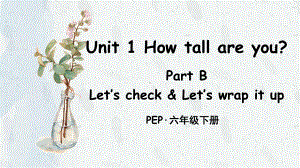 部编人教版六年级英语下册Unit-1-How-tall-are-you-Part-B-第6课时课件.ppt--（课件中不含音视频）