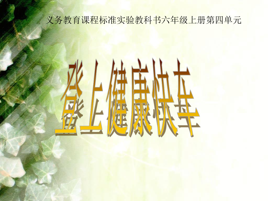 登上健康快车课件.ppt_第1页