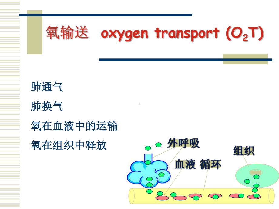 氧供需平衡麻醉课件.ppt_第2页