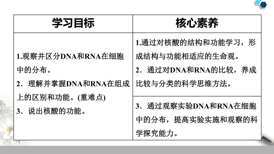 高中生物《第5节核酸是遗传信息的携带者》课件三套.ppt_第2页