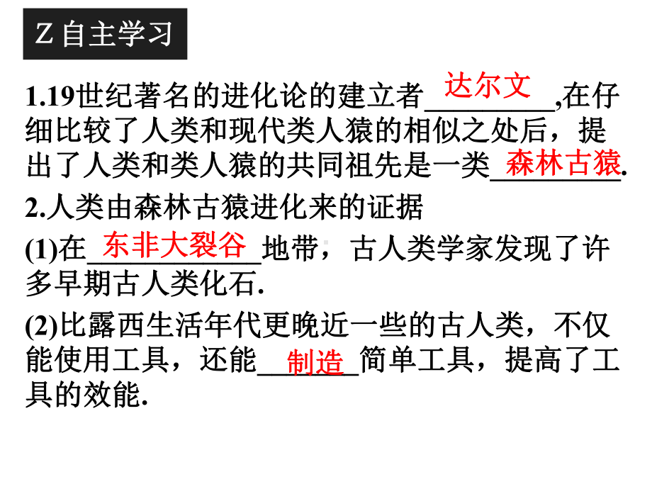 七年级生物下册学考精练第一、二章(配人教版).ppt_第2页