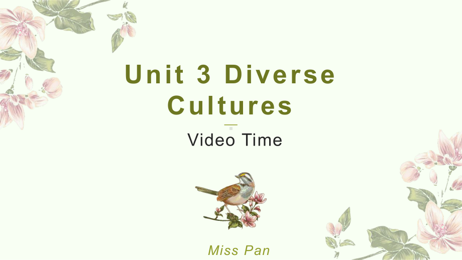 Unit 3 Diverse Cultures Video time 公开课(ppt课件) --2022新人教版（2019）《高中英语》必修第三册.pptx_第1页