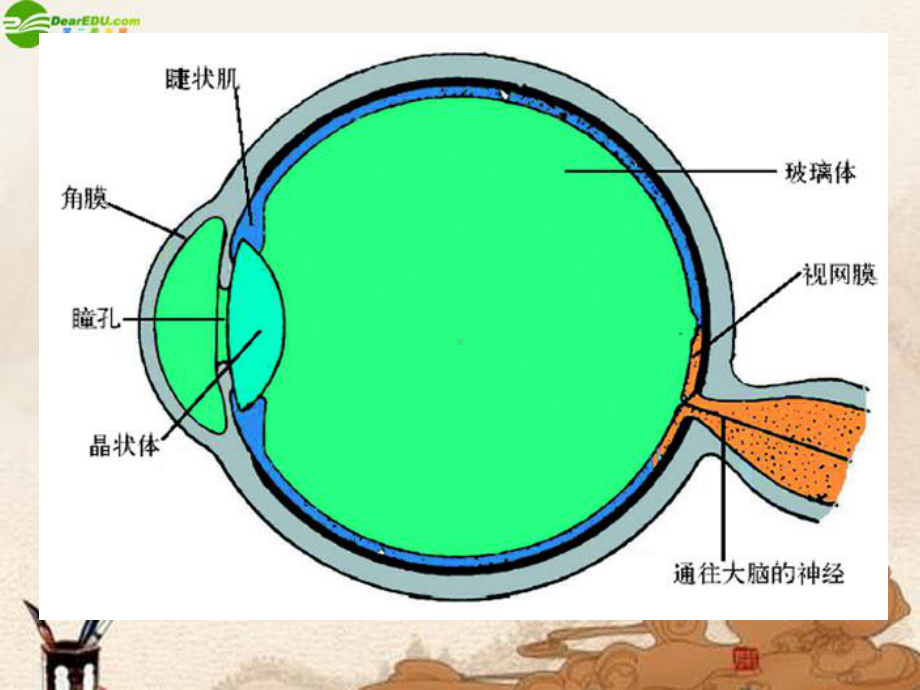 教科版《神奇的眼睛》课件.ppt_第2页